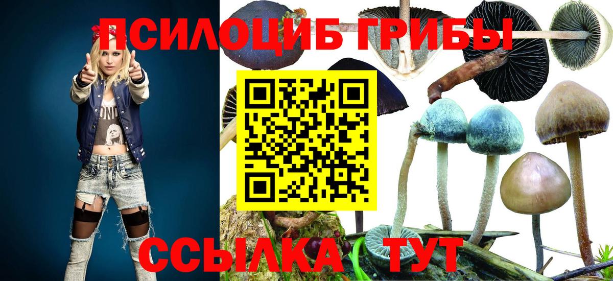 Галлюциногенные грибы мицелий  Вход с VPN  Ковров  Галлюциногенные грибы прущие грибы 