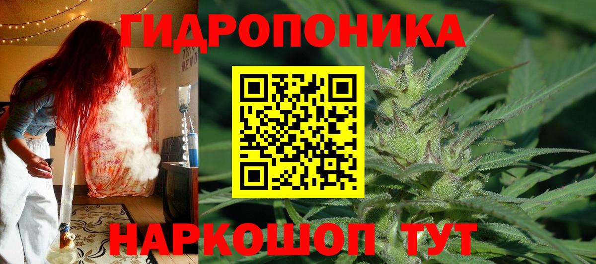 Канабис конопля  Шишки марихуана SATIVA & INDICA  Вход с VPN  Марихуана Amnesia  Ковров  Бошки марихуана AK-47 